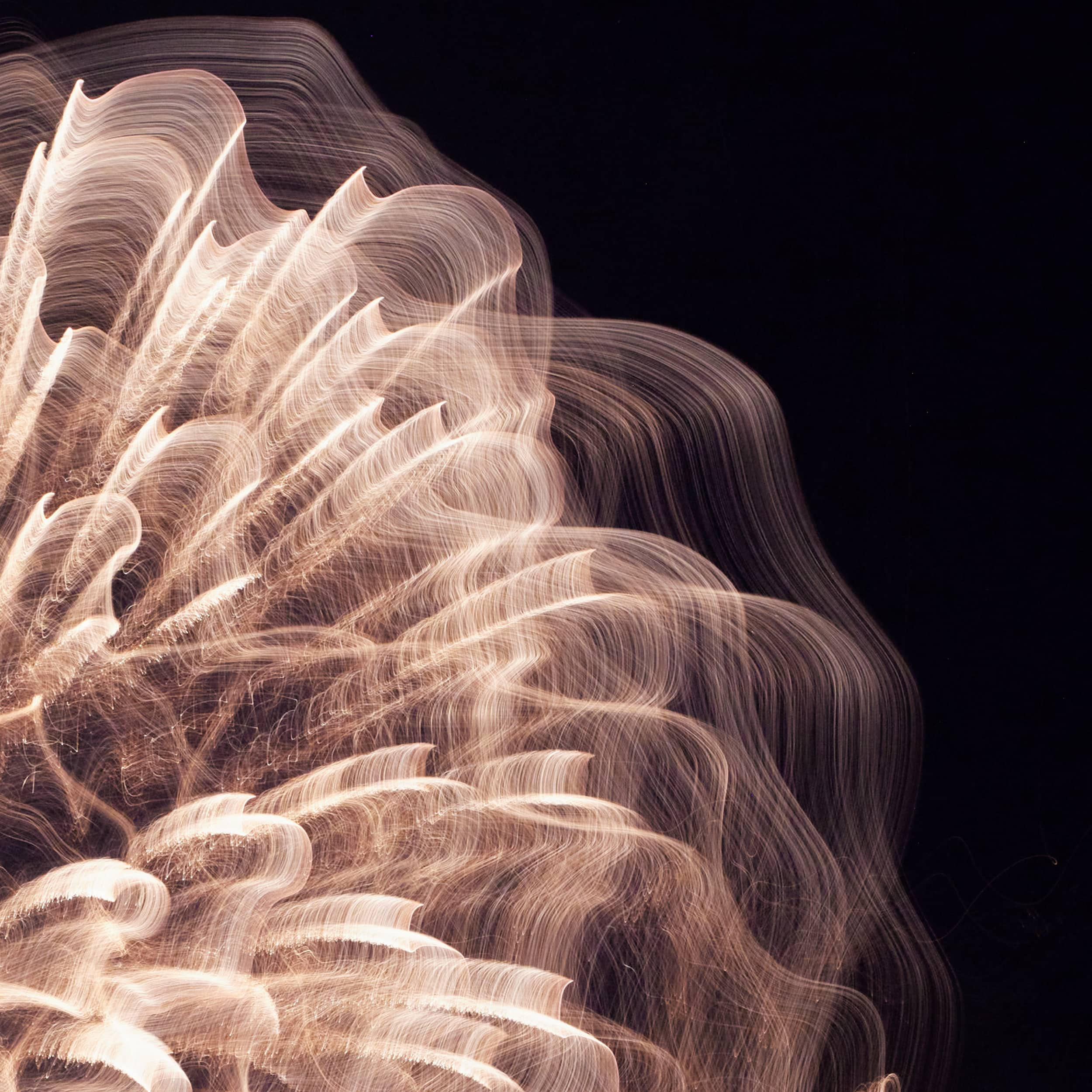 A study in Fireworks — image 2