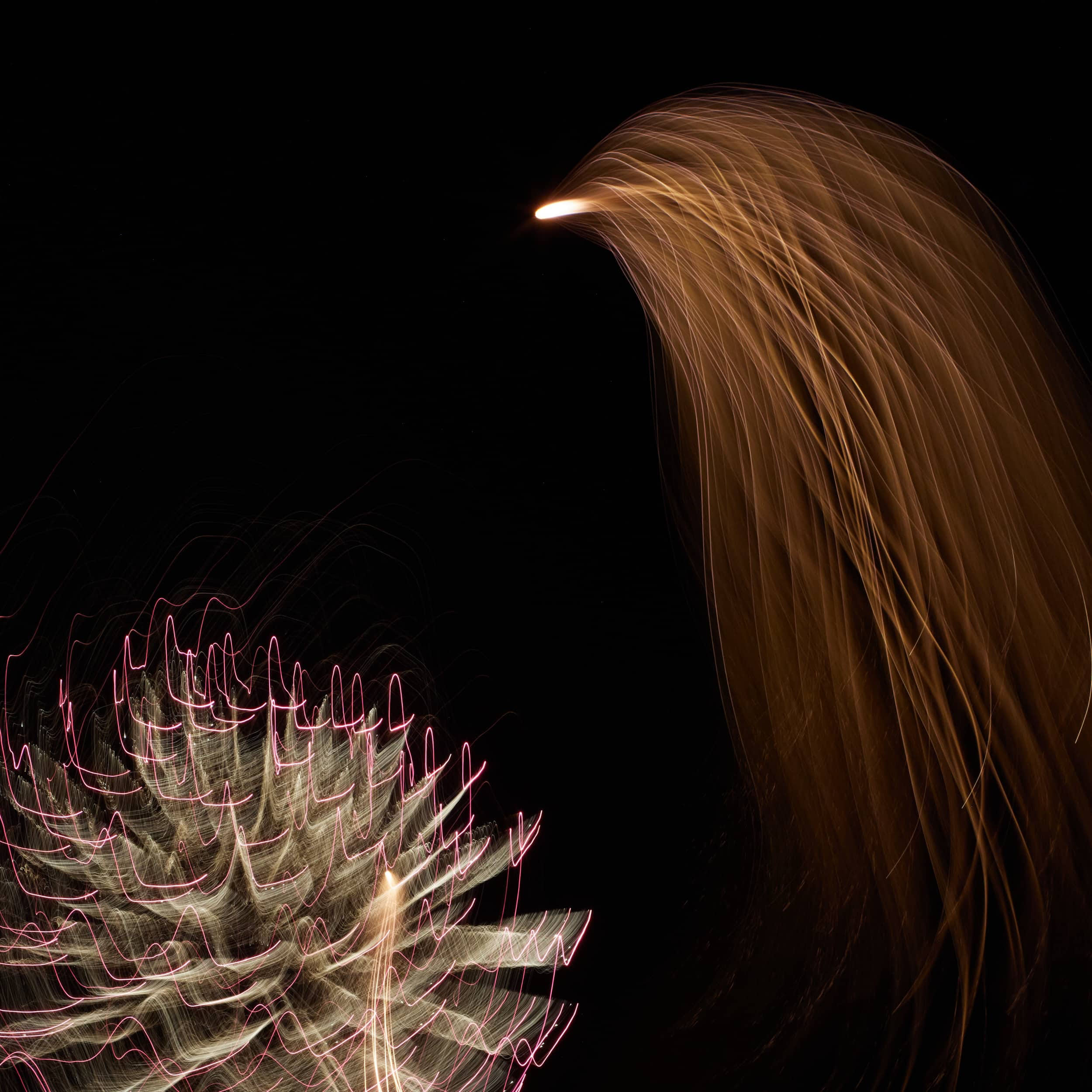 A study in Fireworks — image 3