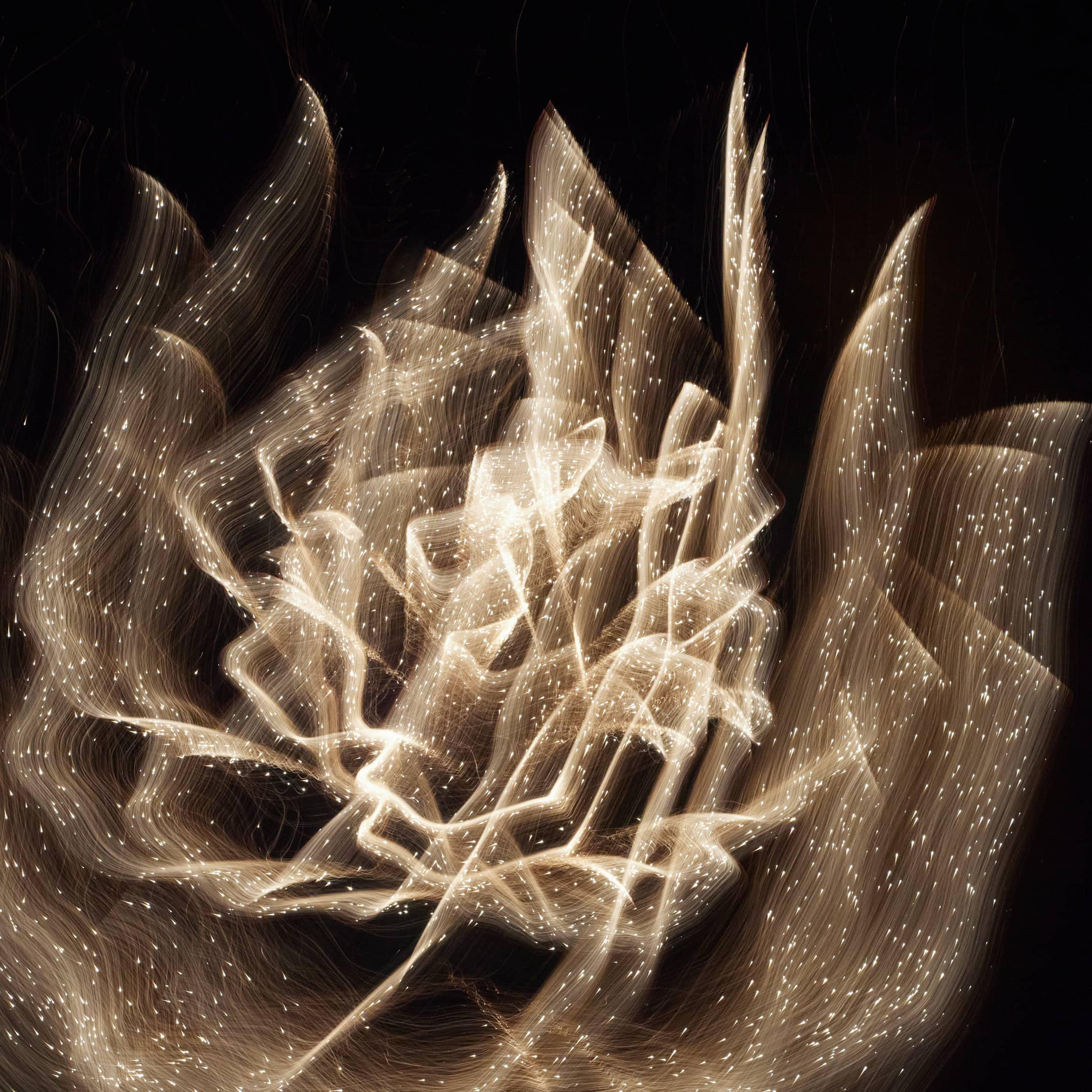 A study in Fireworks — image 6