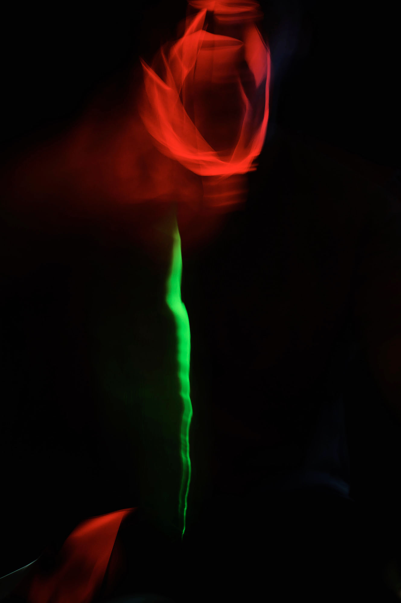 Recorded Transience — image 2