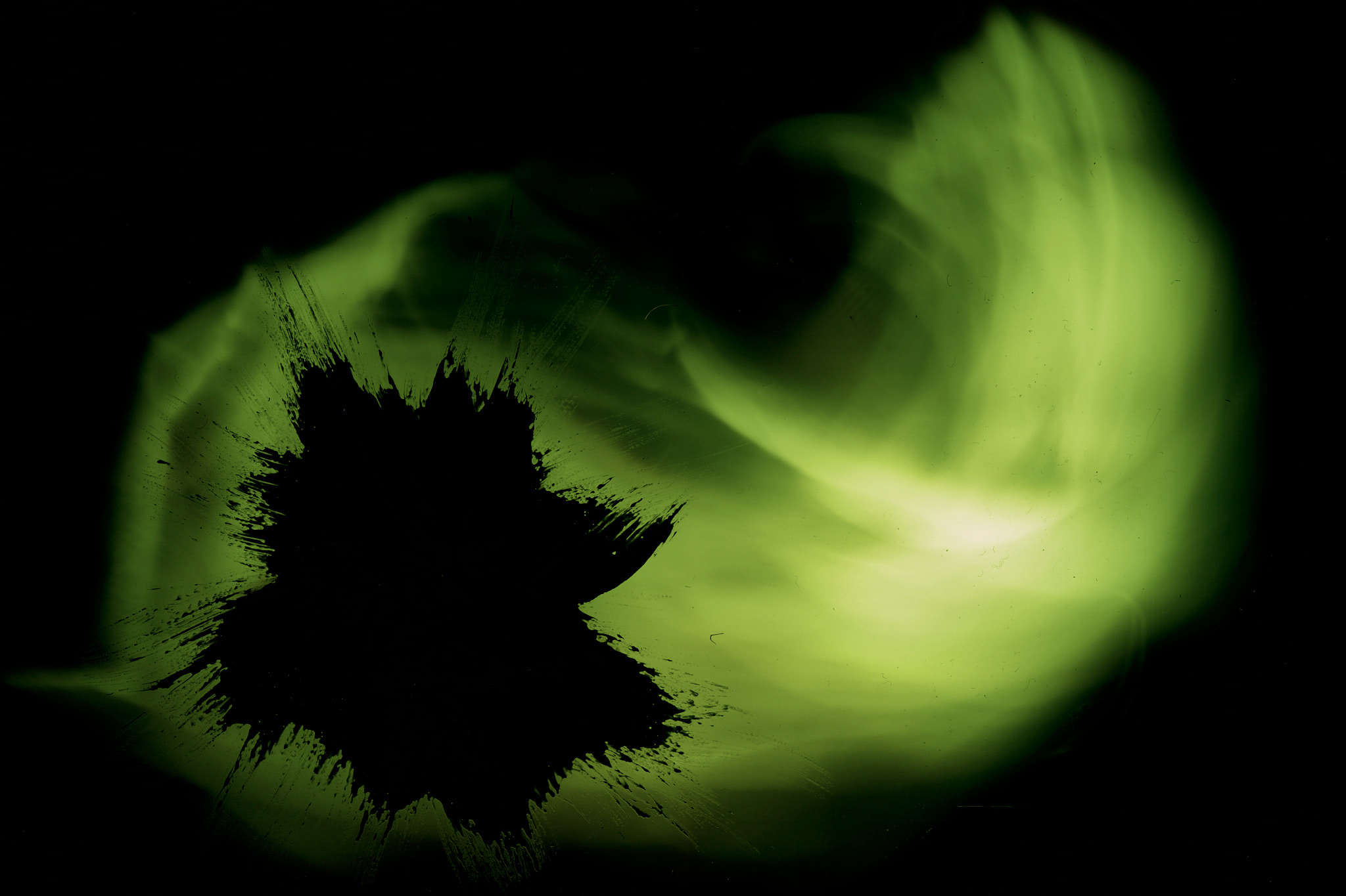 Recorded Transience — image 7