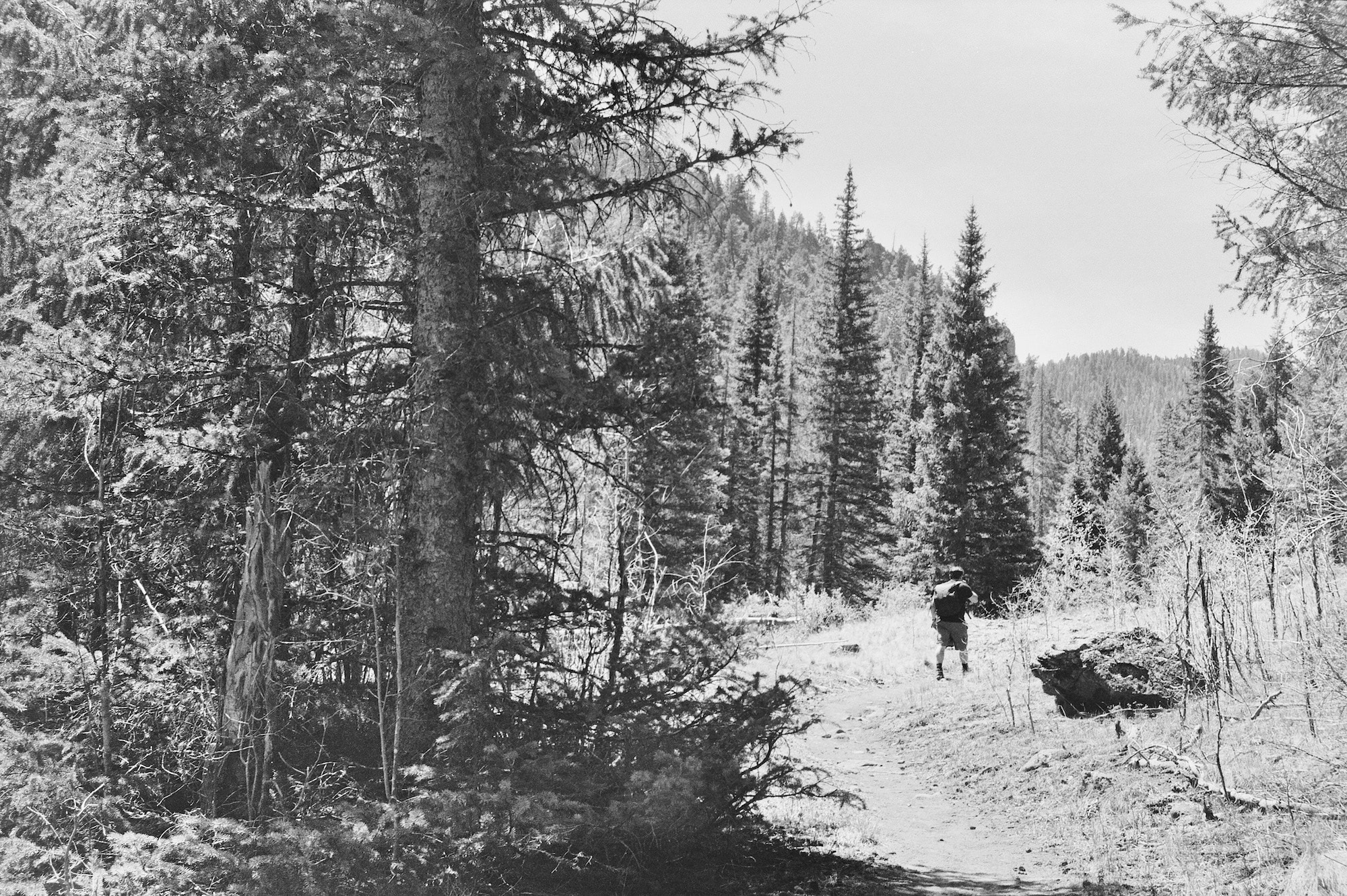 A Journey in Soundscapes — image 2
