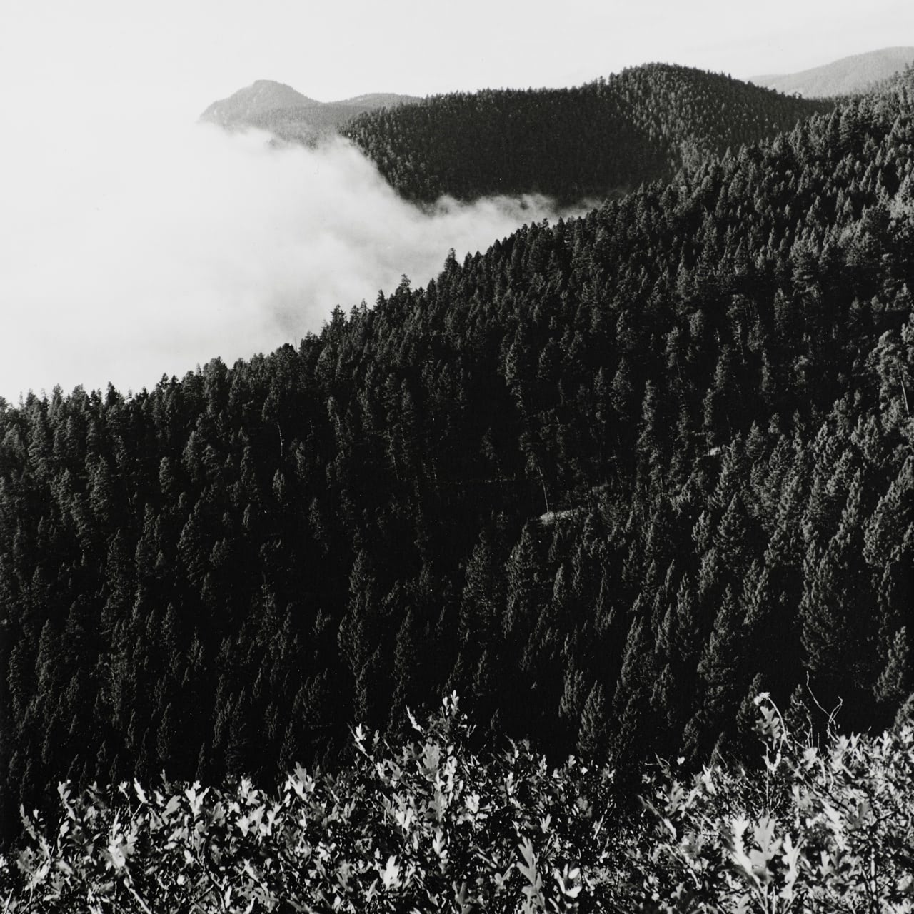 Night — image 5