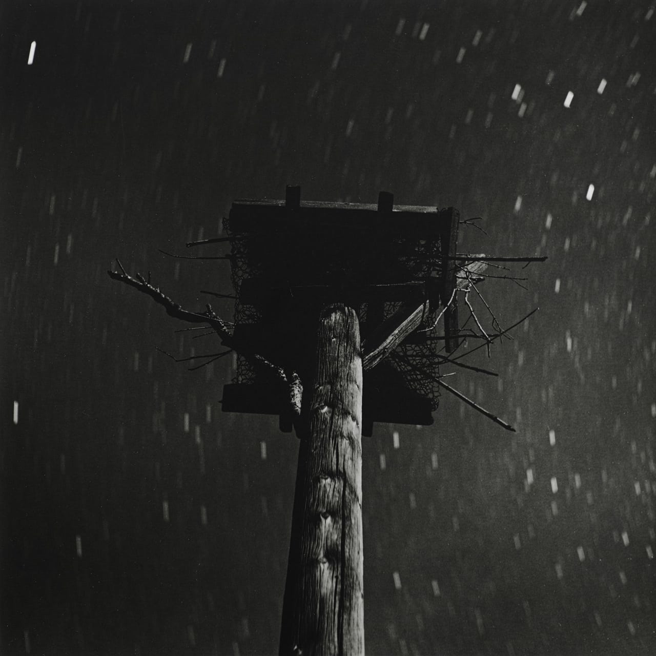 Night — image 6