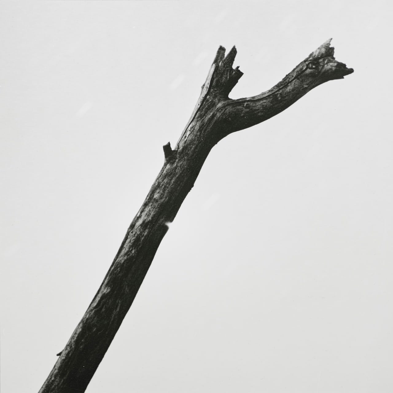Night — image 7