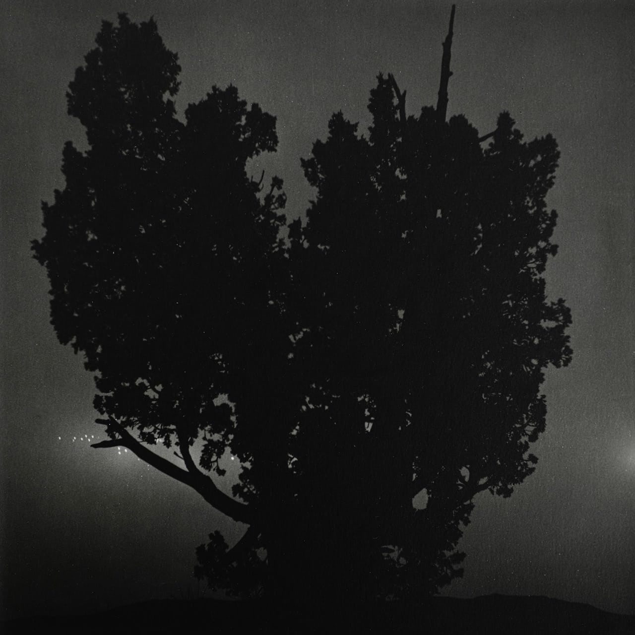 Night — image 8