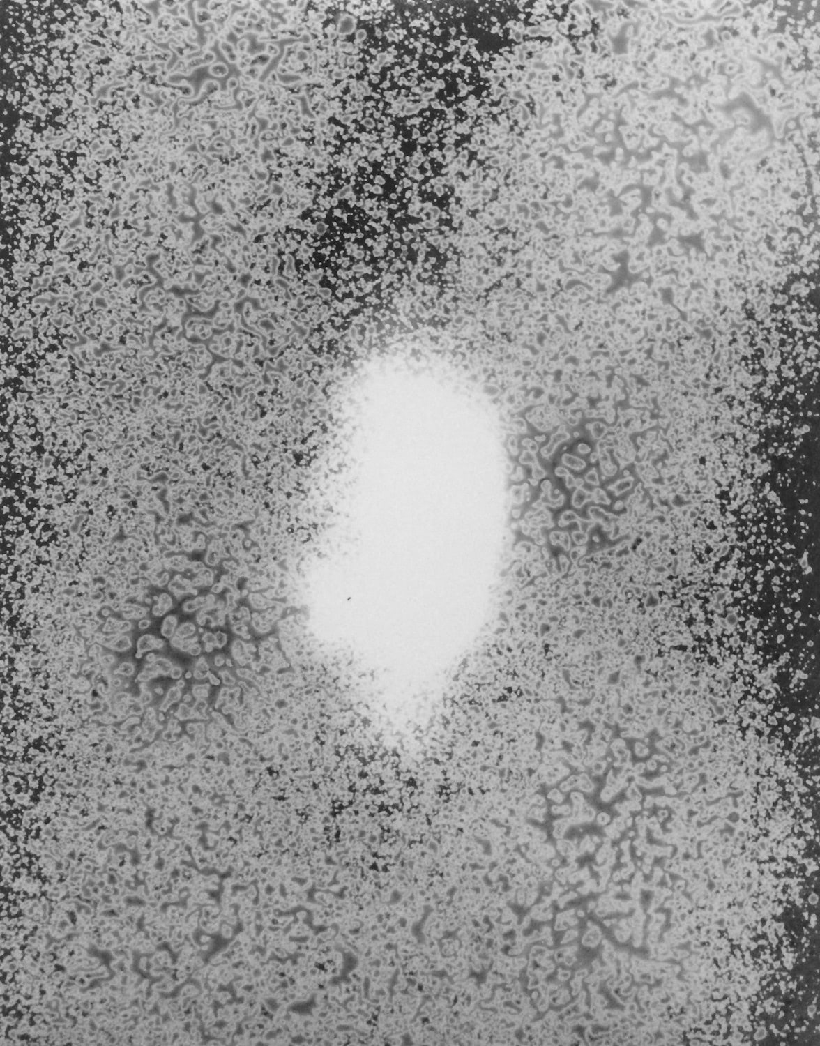 Head Over — image 6