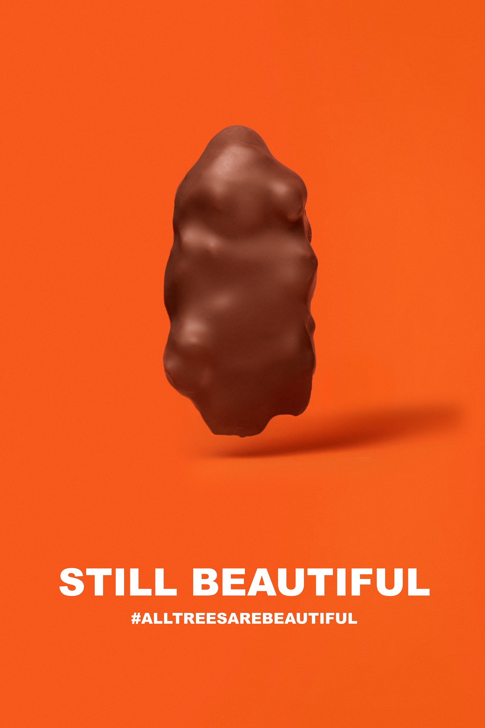 Reeses More — image 6